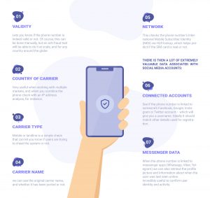 Here is what phone risk assessment looks like: Validity: lets you know if the phone number is indeed valid or not. Of course, this can be done manually, but an anti fraud tool will be able to do it at scale, and for any country around the globe. Country of carrier: very useful when working with multiple markets, and when you combine the phone check with an IP address analysis, for instance. Carrier type: mobile or landline is a simple check that can let you know if users are trying to cheat the system or not. Carrier name: we can see the original carrier name, and whether it has been ported or not. Network: This checks the phone number's International Mobile Subscriber Identity (IMSI) via HLR lookup, which helps predict if the SIM card is real or not.