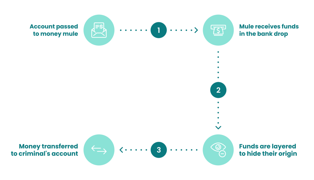 how money mules work