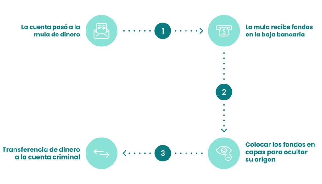 Grafico baja bancaria explicacion