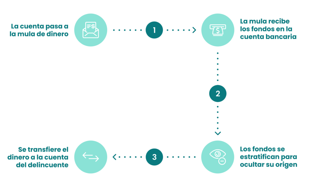 como funcionan la mula de dinero