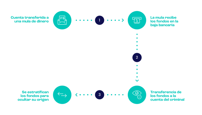 metodo de proceso de lavado de dinero